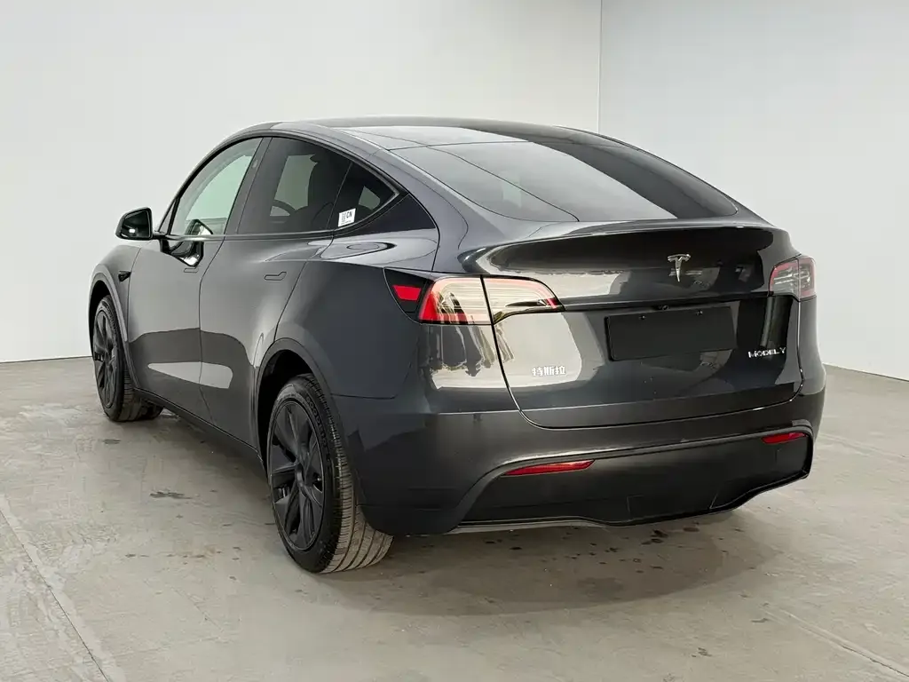 Tesla Model Y — фото 9