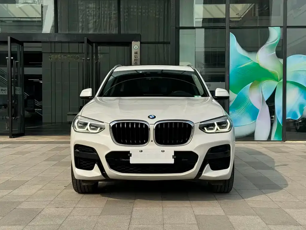 BMW X3 2021 из CN, фото 7