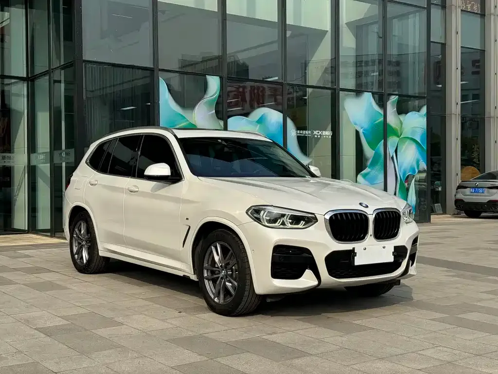 BMW X3 2021 из CN, фото 4