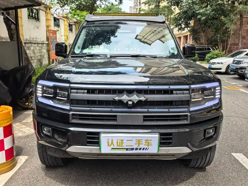 Fang Cheng Bao Leopard 5 2025 из CN, фото 9