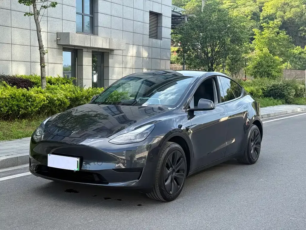 Tesla Model Y — фото 1