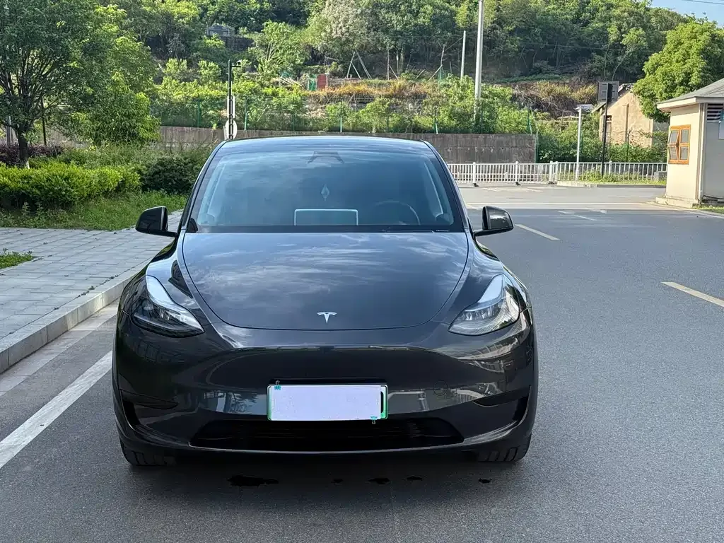 Tesla Model Y — фото 9