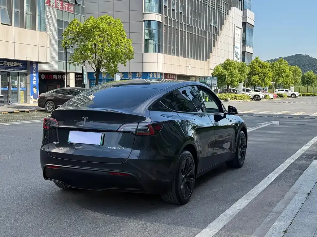 Tesla Model Y — фото 5