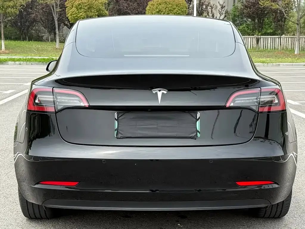 Tesla Model 3 — фото 2