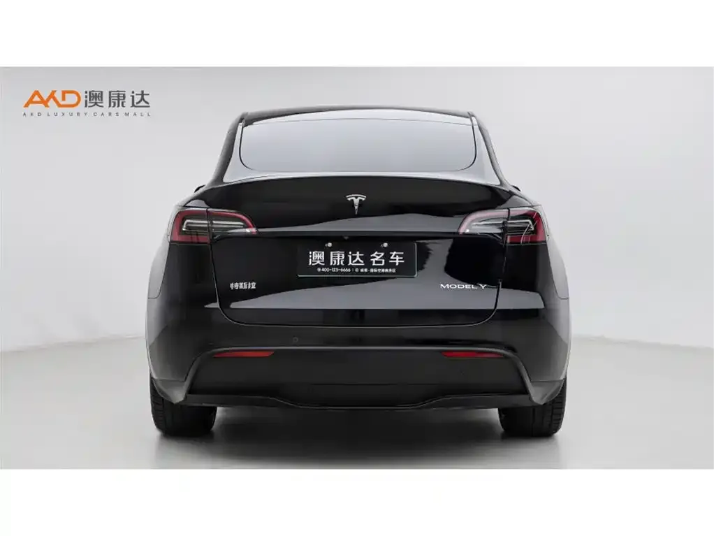 Tesla Model Y — фото 2