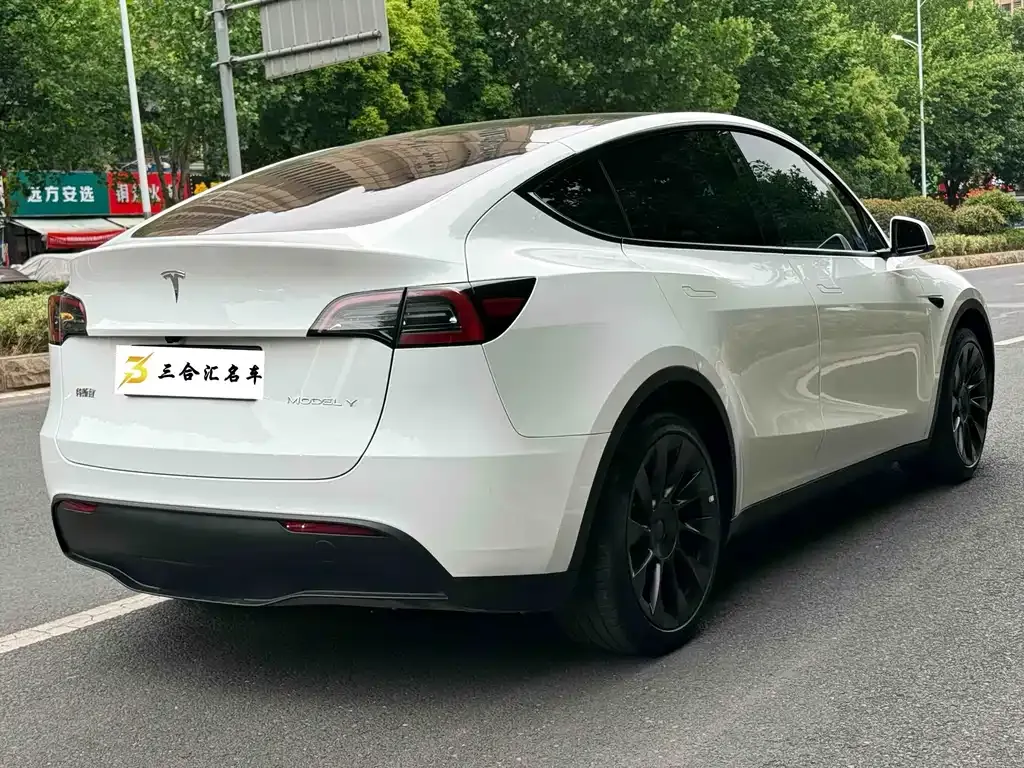 Tesla Model Y — фото 10