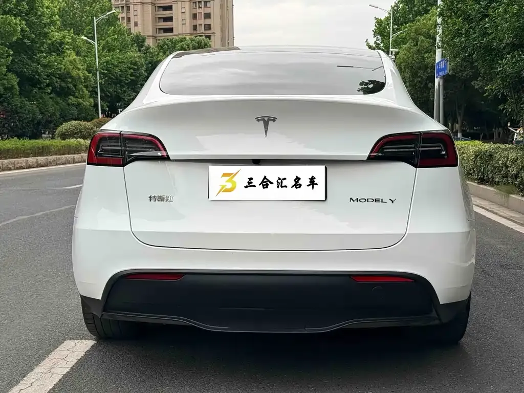 Tesla Model Y — фото 8
