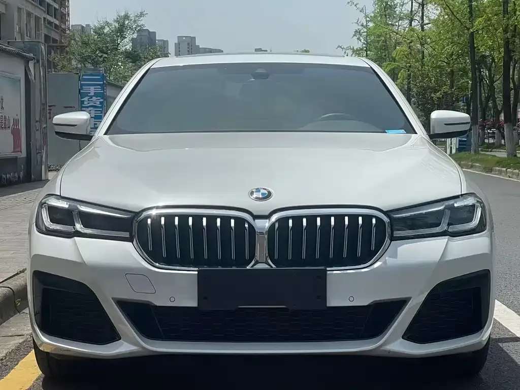 BMW 5 Series 2023 из CN, фото 7