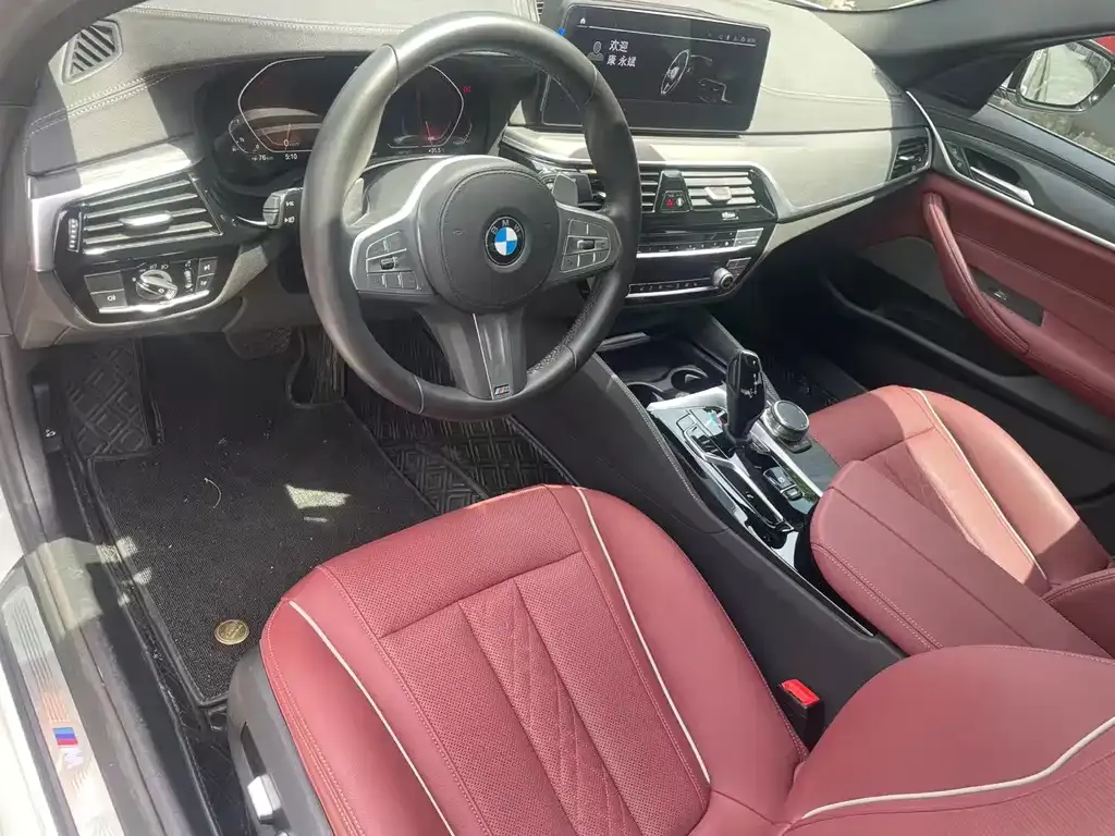 BMW 5 Series 2023 из CN, фото 8