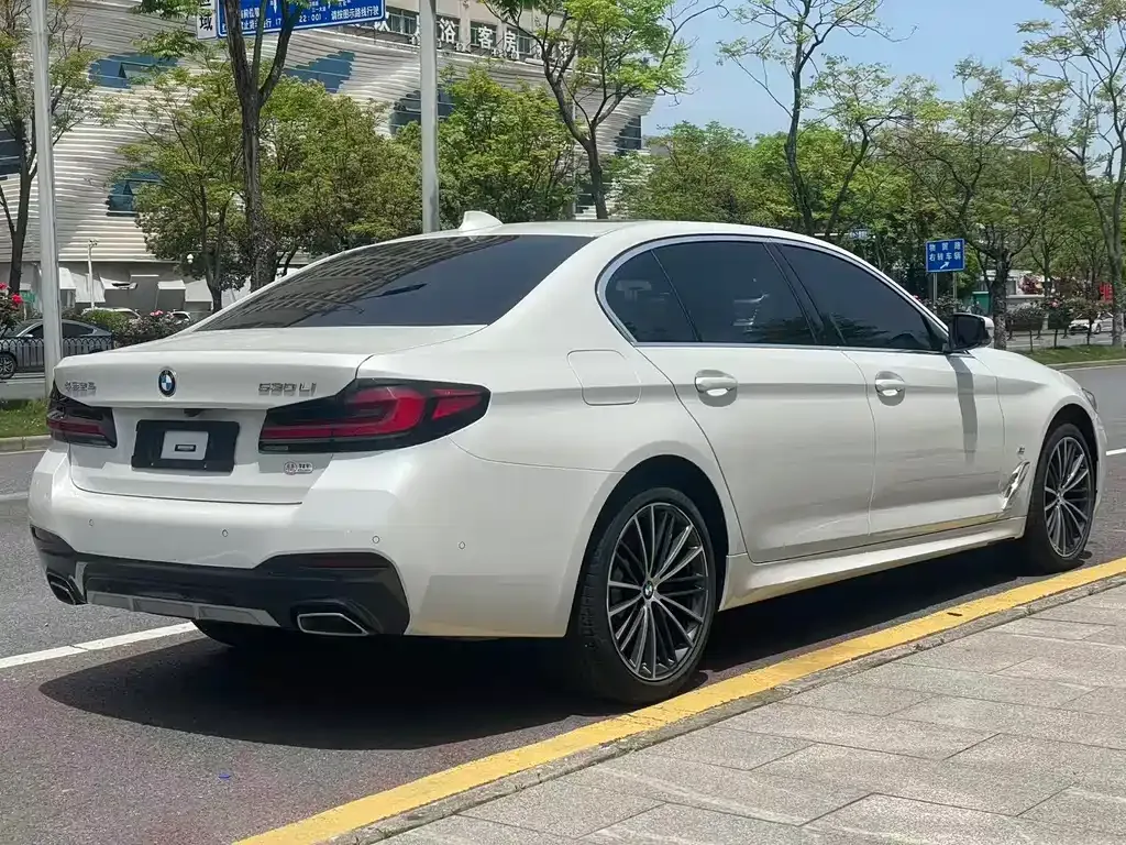 BMW 5 Series 2023 из CN, фото 9