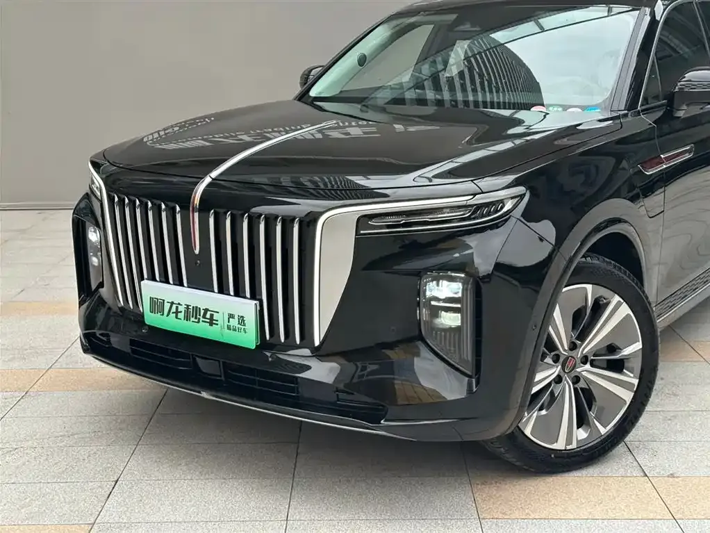 Hongqi E-HS9 — фото 10