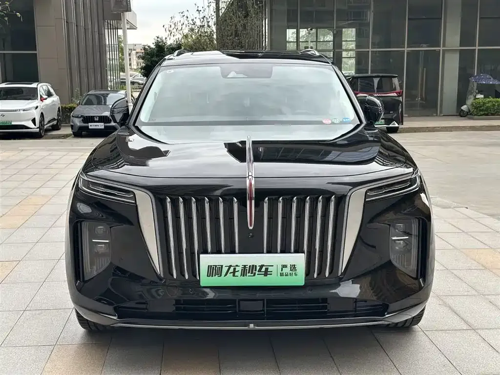 Hongqi E-HS9 — фото 2