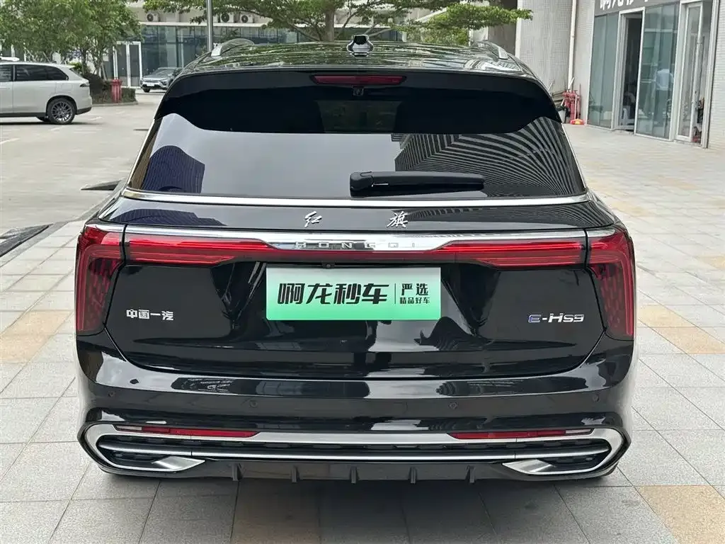 Hongqi E-HS9 — фото 8