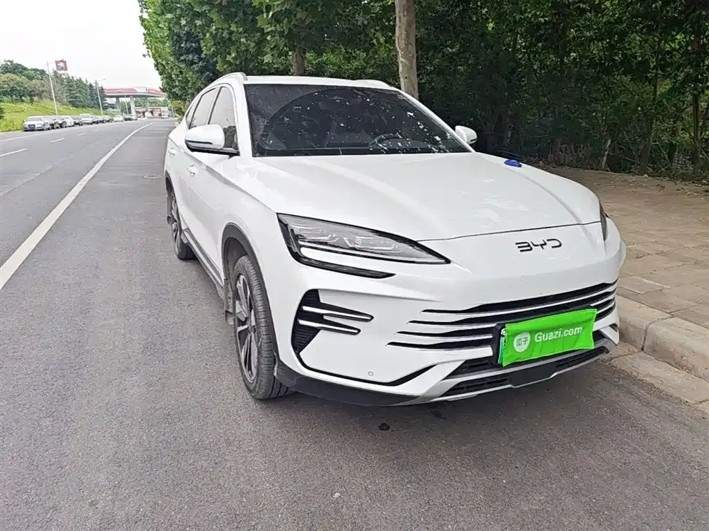 BYD PLUS New Energy — фото 10