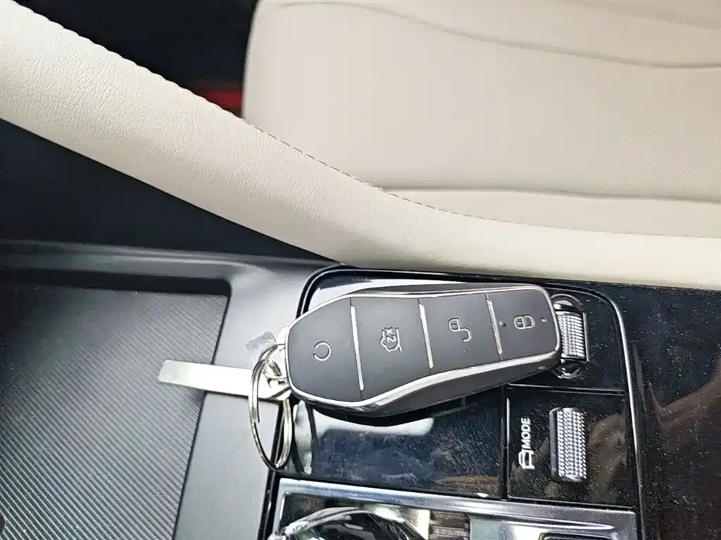 BYD PLUS New Energy — фото 2