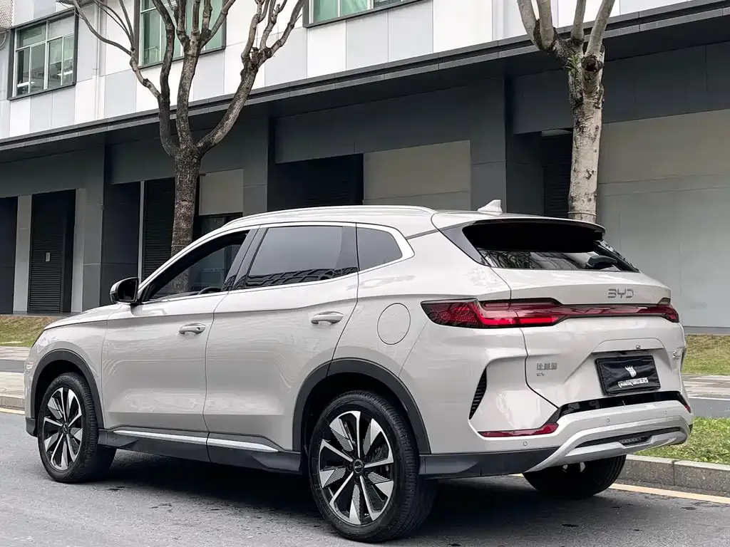 BYD PLUS New Energy — фото 4