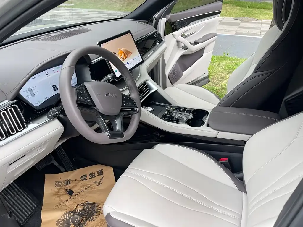 BYD PLUS New Energy — фото 8