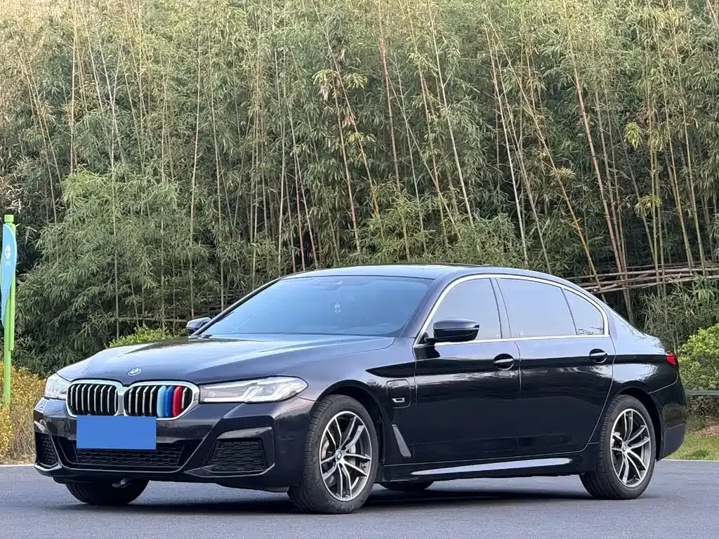 BMW 5 Series New Energy — фото 1