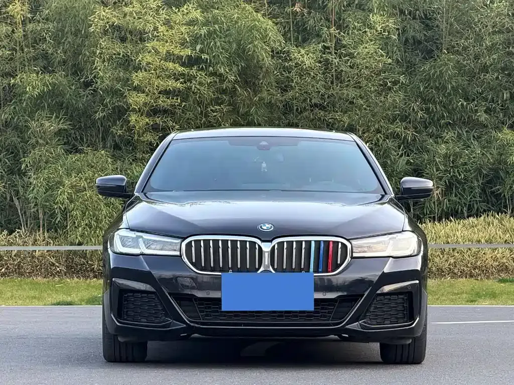 BMW 5 Series New Energy — фото 3