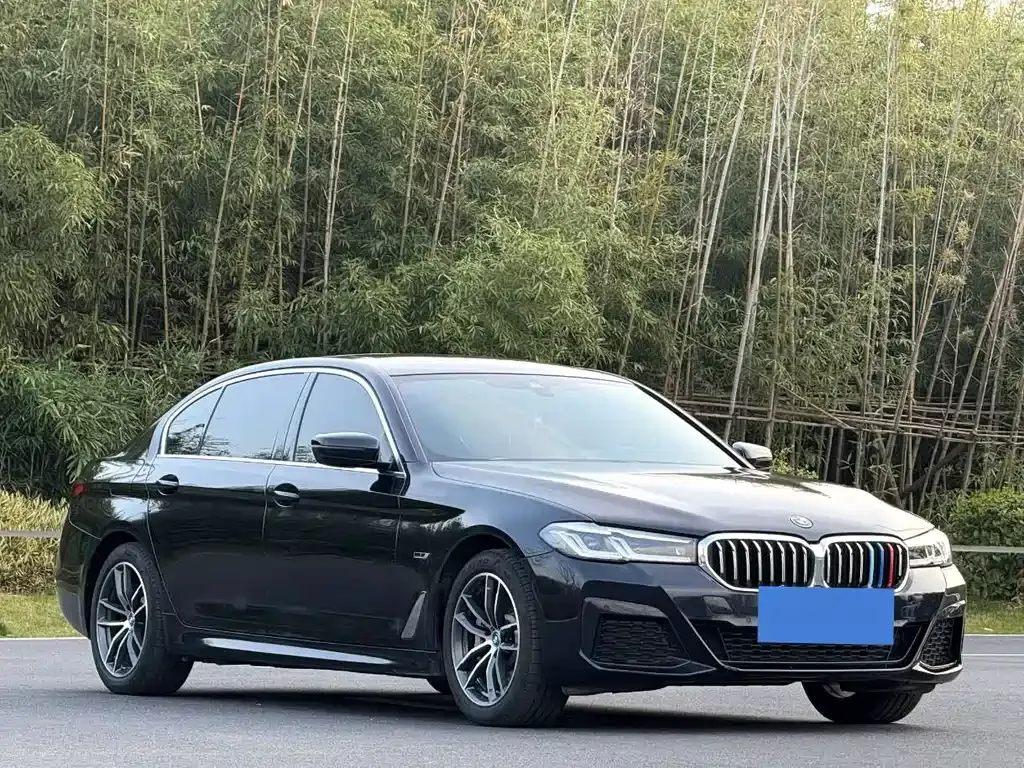 BMW 5 Series New Energy — фото 6