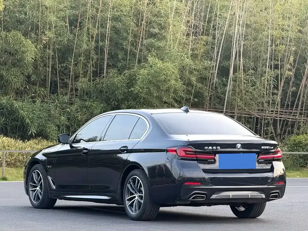 BMW 5 Series New Energy — фото 5