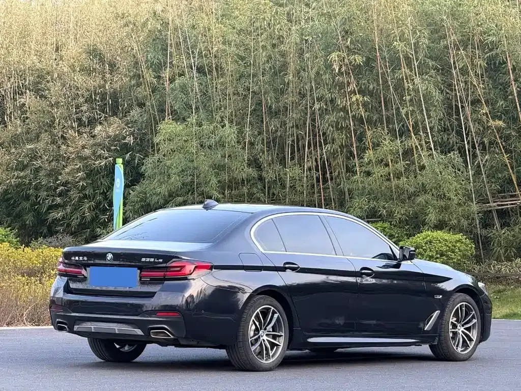 BMW 5 Series New Energy — фото 8