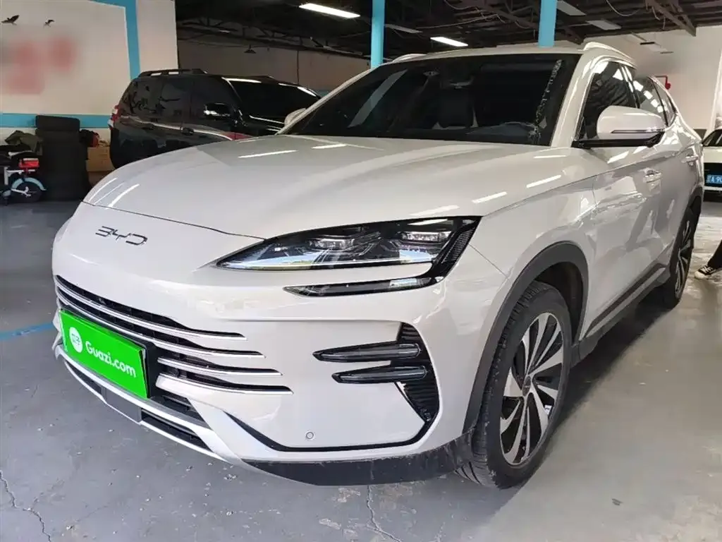 BYD PLUS New Energy — фото 1