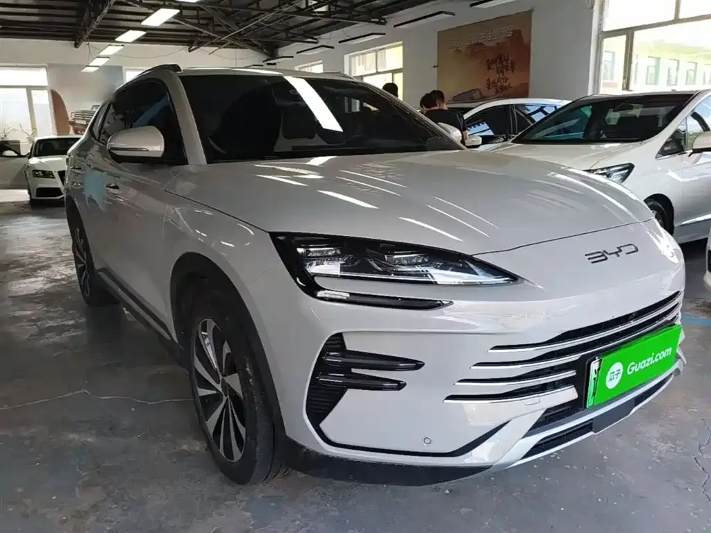BYD PLUS New Energy — фото 9
