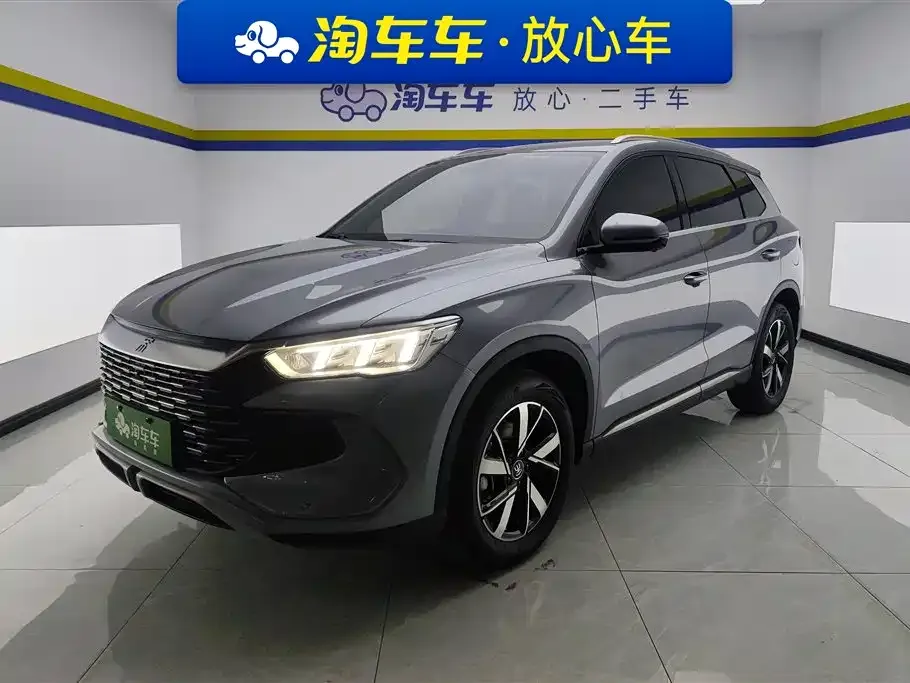 BYD Pro New Energy