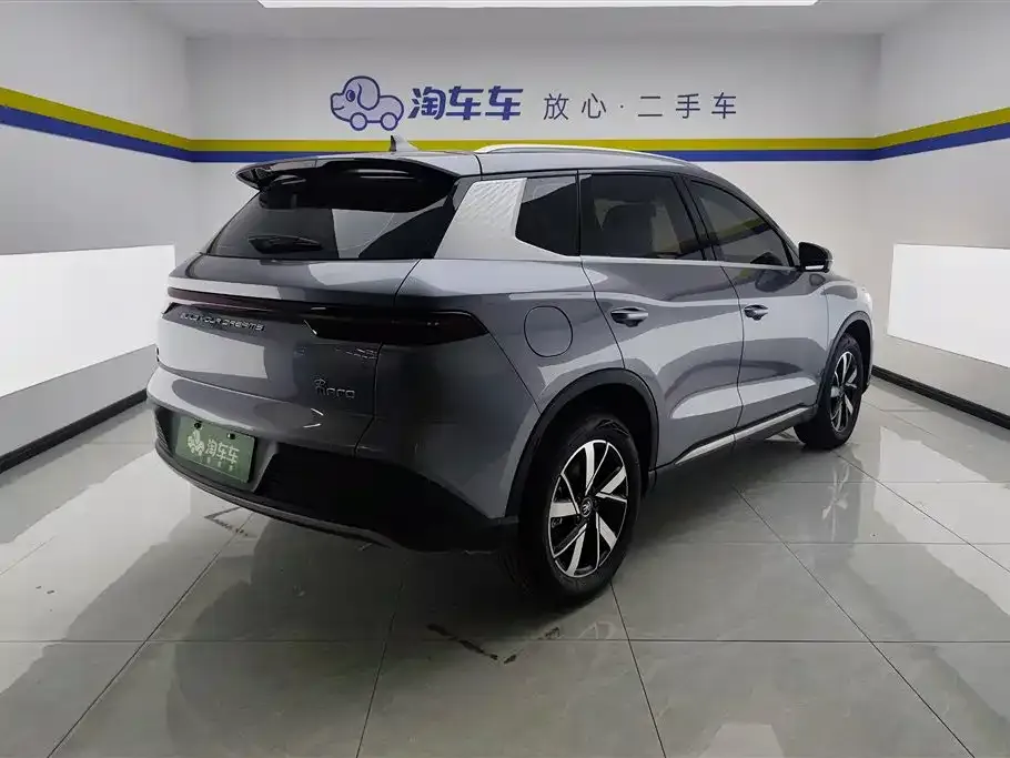 BYD Pro New Energy 2024 из CN, фото 2