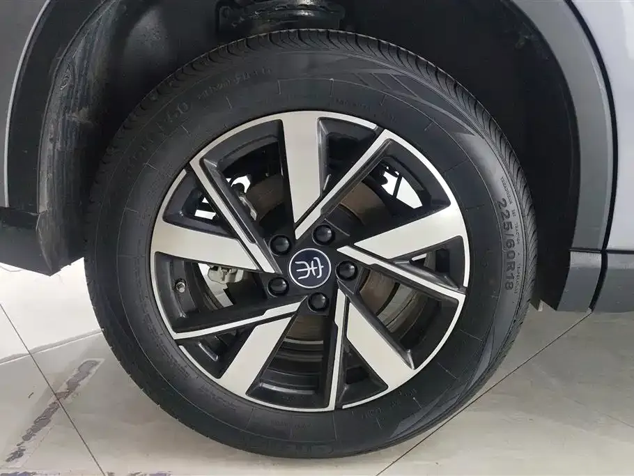 BYD Pro New Energy 2024 из CN, фото 9