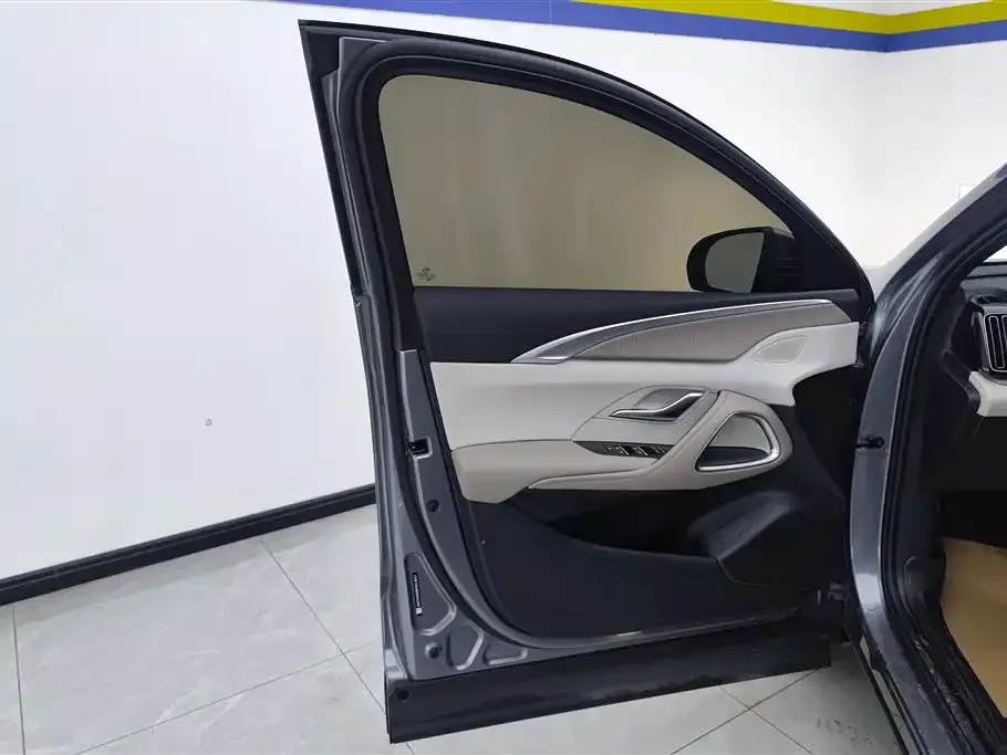 BYD Pro New Energy 2024 из CN, фото 3