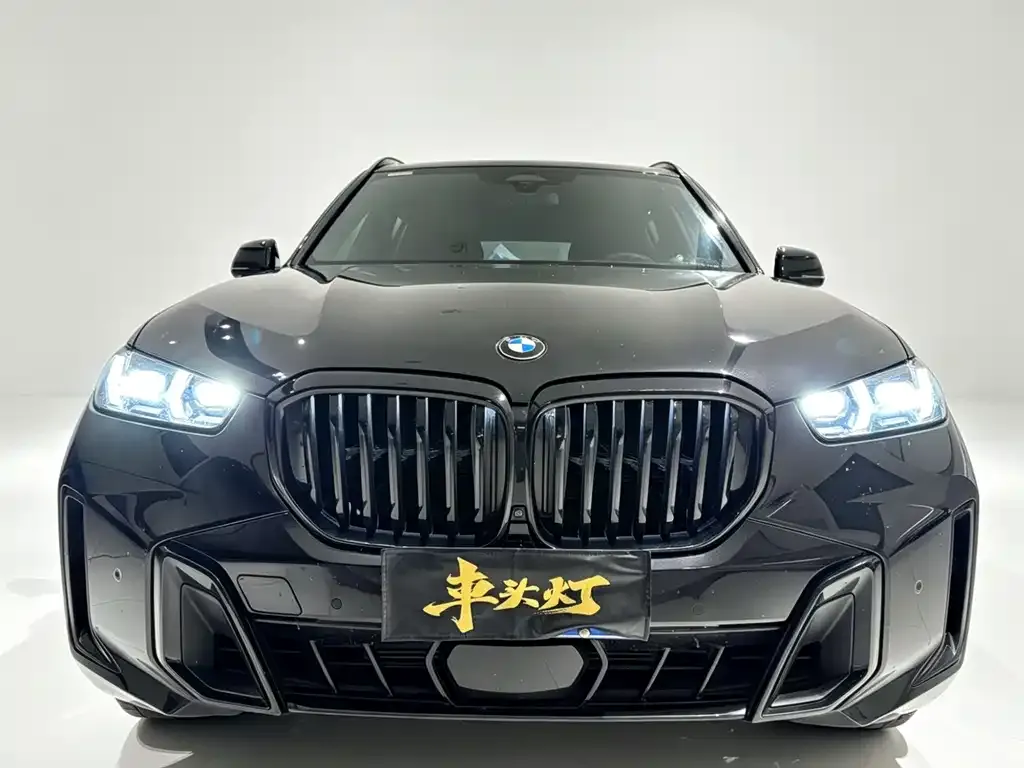 BMW X5 — фото 9