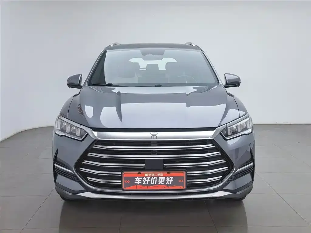 BYD Pro New Energy 2023 из CN, фото 2