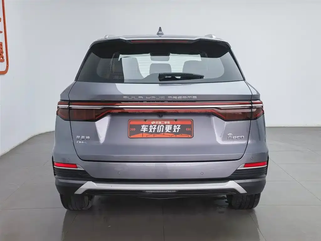 BYD Pro New Energy 2023 из CN, фото 3