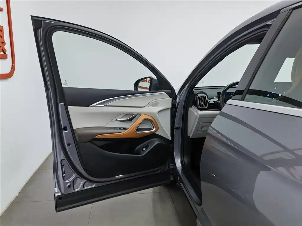 BYD Pro New Energy 2023 из CN, фото 4