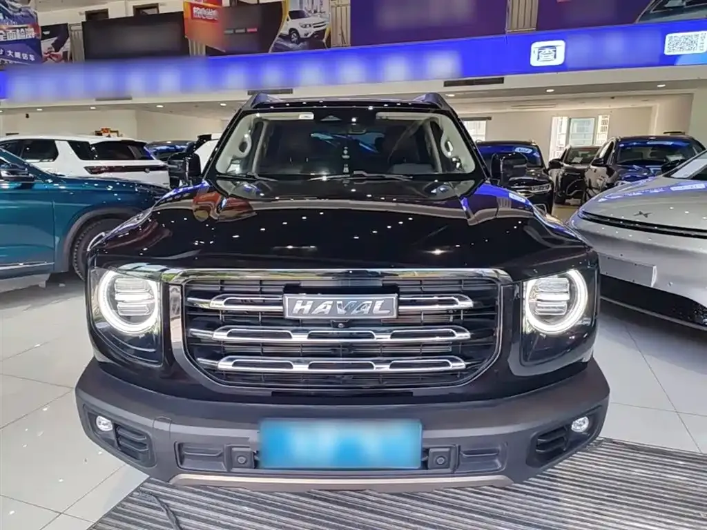 Haval Big Dog — фото 10