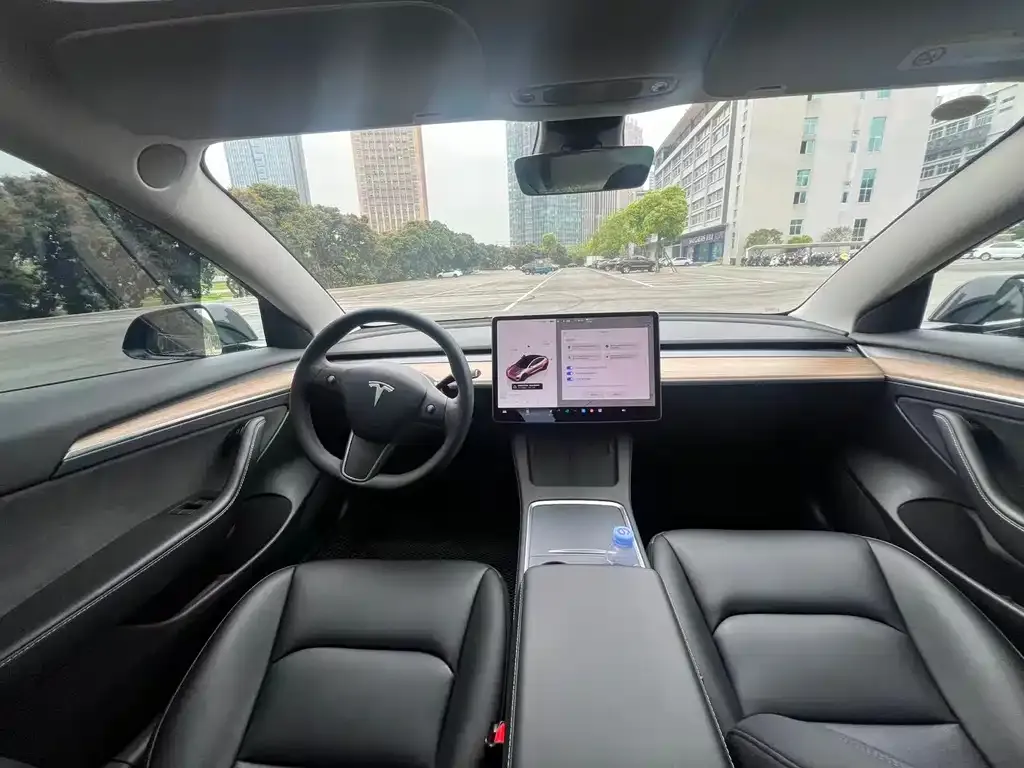 Tesla Model 3 — фото 2