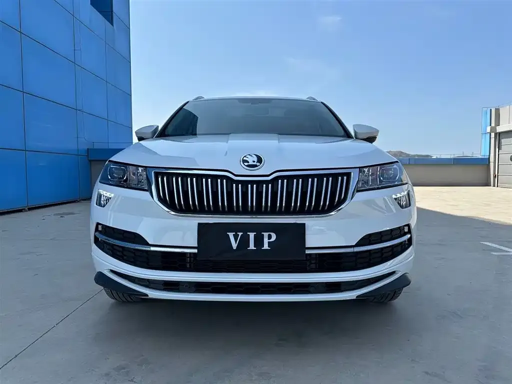 Skoda Karoq — фото 3