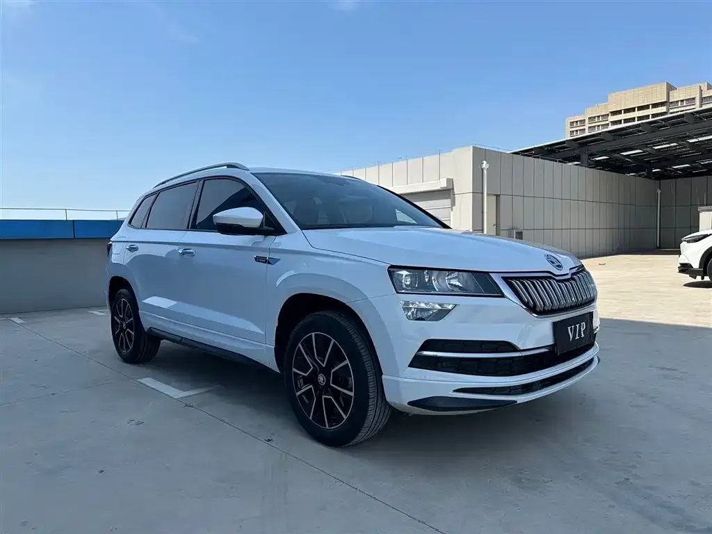 Skoda Karoq — фото 8