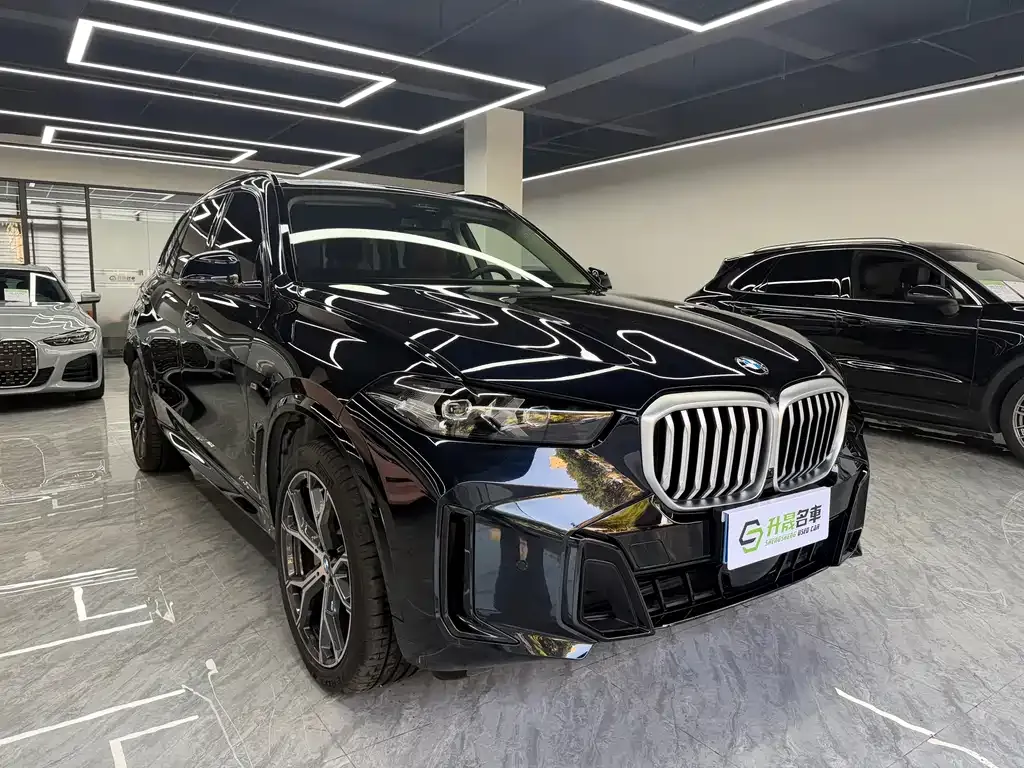 BMW X5 — фото 10