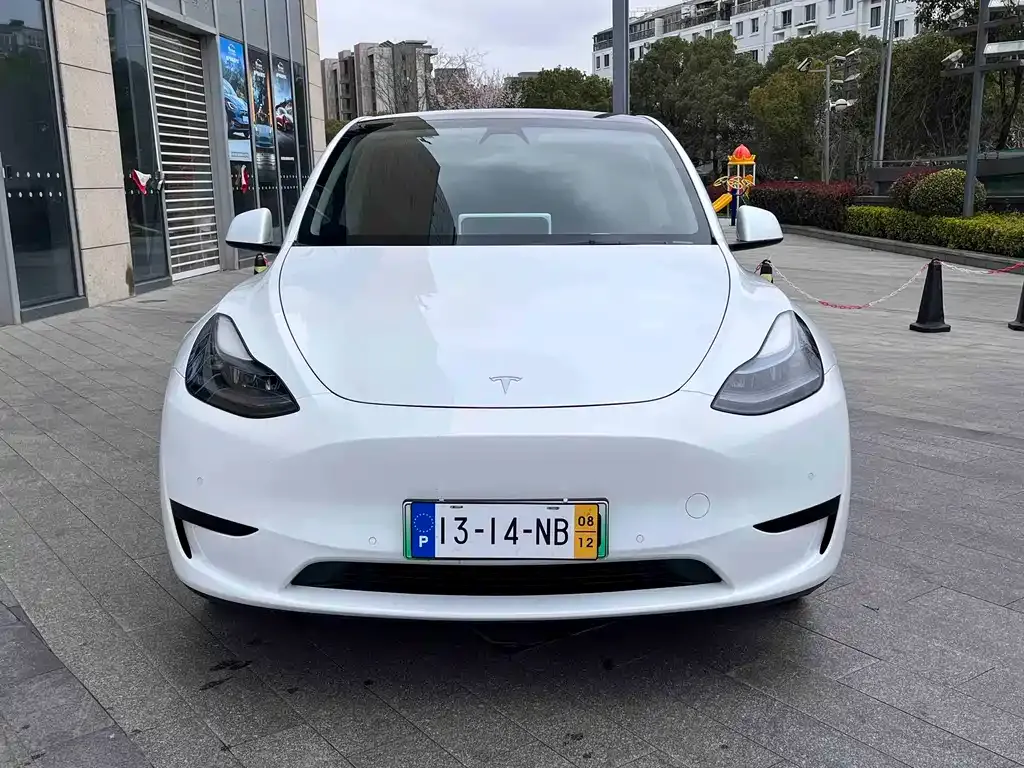 Tesla Model Y — фото 2