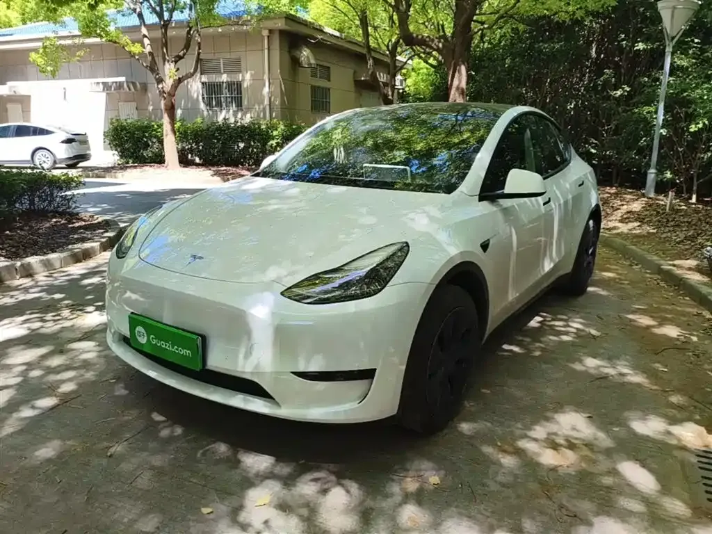 Tesla Model Y — фото 9