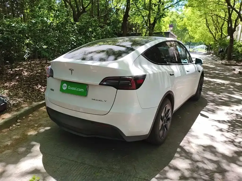 Tesla Model Y — фото 10