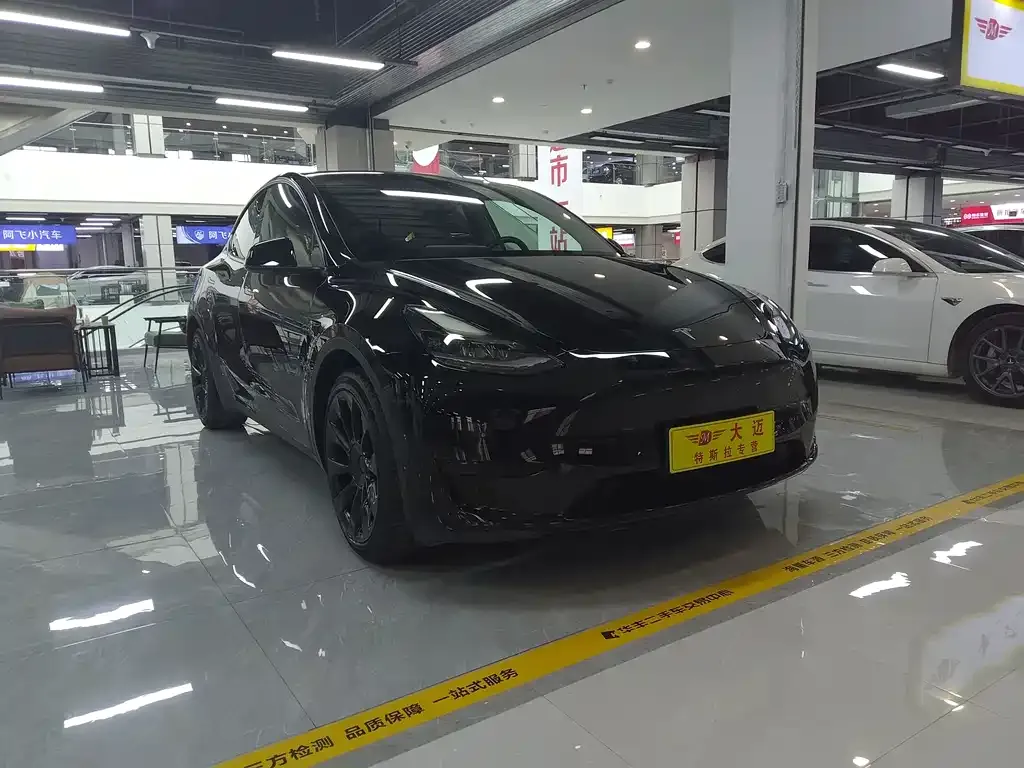 Tesla Model Y — фото 5