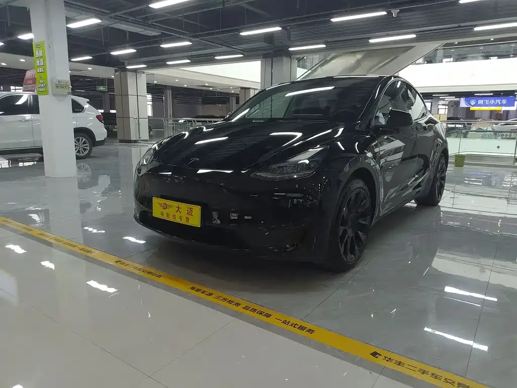 Tesla Model Y — фото 7