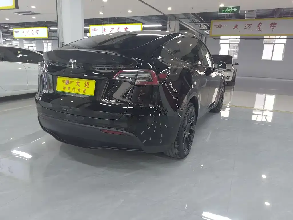 Tesla Model Y — фото 9