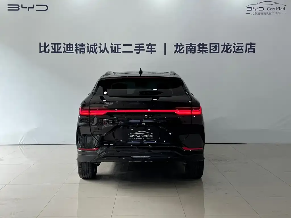 BYD PLUS New Energy — фото 2