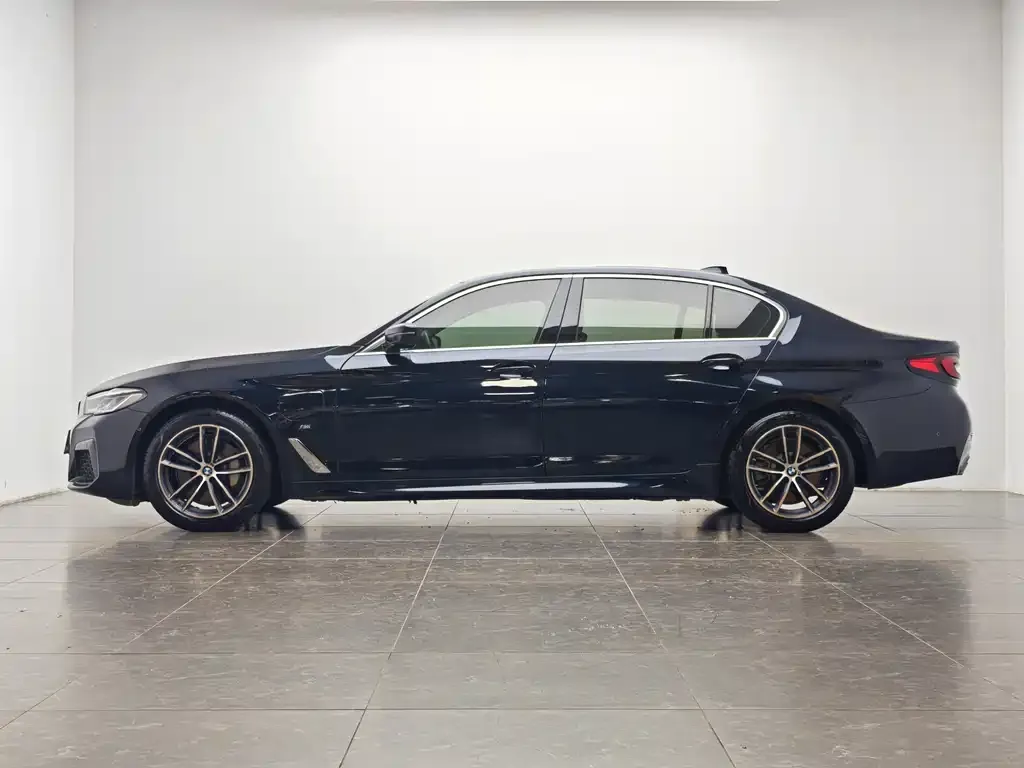 BMW 5 Series New Energy 2021 из CN, фото 6