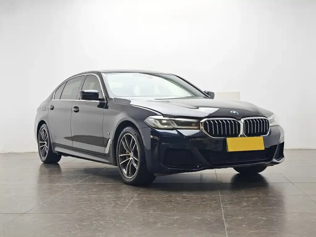 BMW 5 Series New Energy 2021 из CN, фото 3
